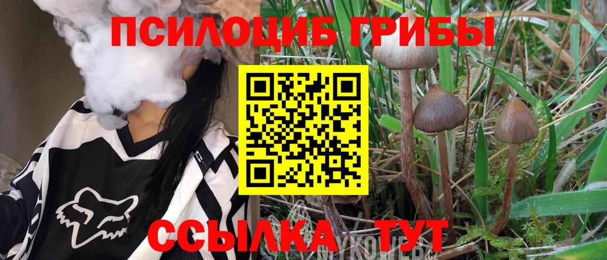 Крымск  Галлюциногенные грибы мухоморы  Вход с VPN 